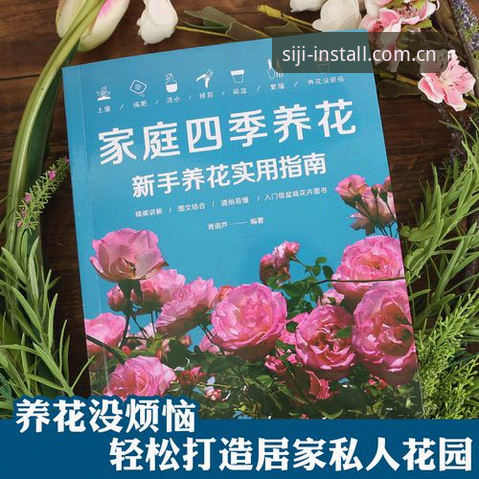 四季官方安装实用指南：从下载到购物的完整体验分析